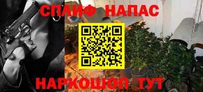 сатива Кимры